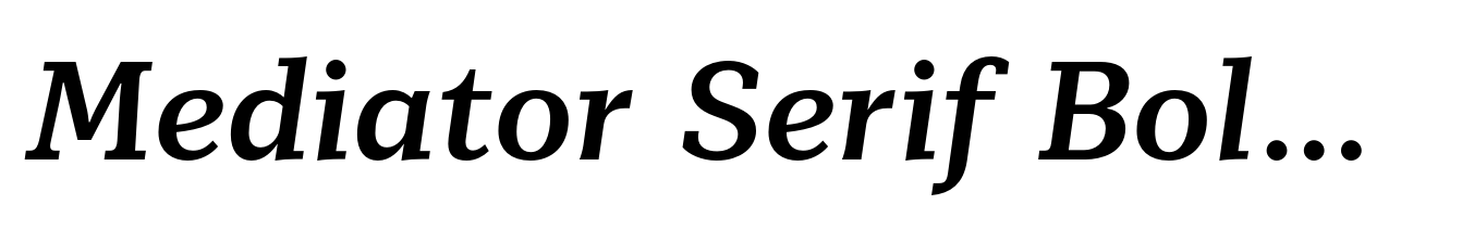 Mediator Serif Bold Italic